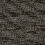 Salizar Upholstered Flared Arm Sofa Charcoal Grey by Coaster at Eve Furniture