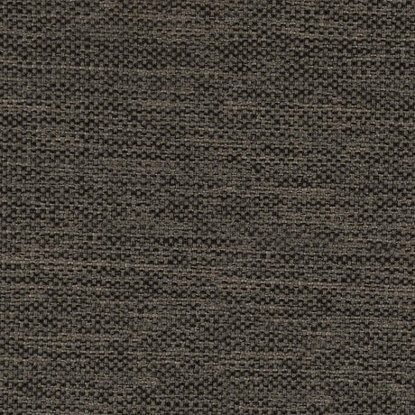 Salizar Upholstered Flared Arm Sofa Charcoal Grey by Coaster at Eve Furniture