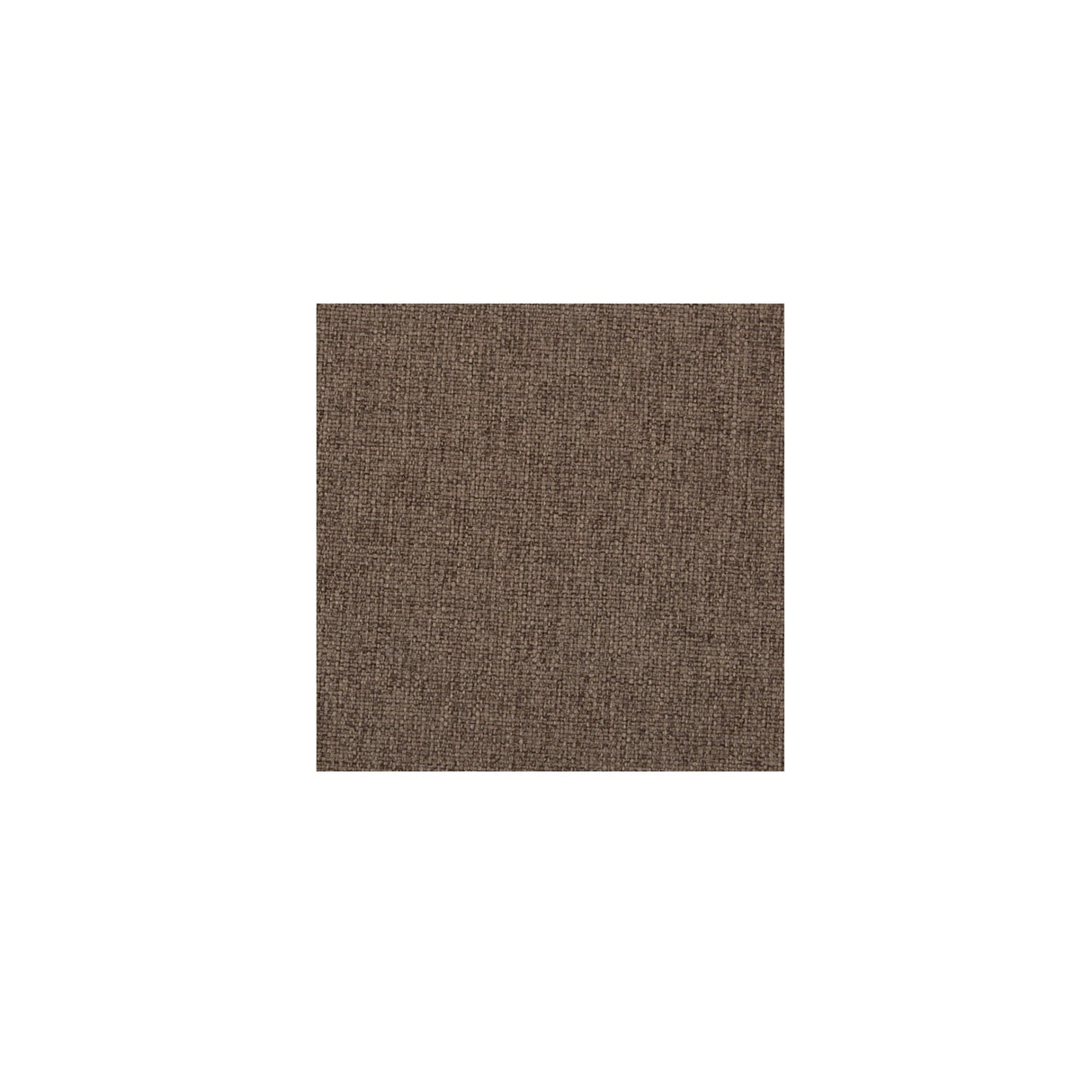 Sally Light Brown Dining Chair by Moe's Home at Eve Furniture