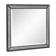 Salon Black Mirror (Mirror Only) by Homelegance at Eve Furniture