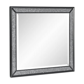 Salon Black Mirror (Mirror Only) by Homelegance at Eve Furniture