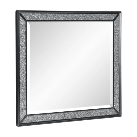 Salon Black Mirror (Mirror Only) by Homelegance at Eve Furniture