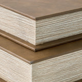 Samwell Brown Box, Set of 2 by Ashley at Eve Furniture