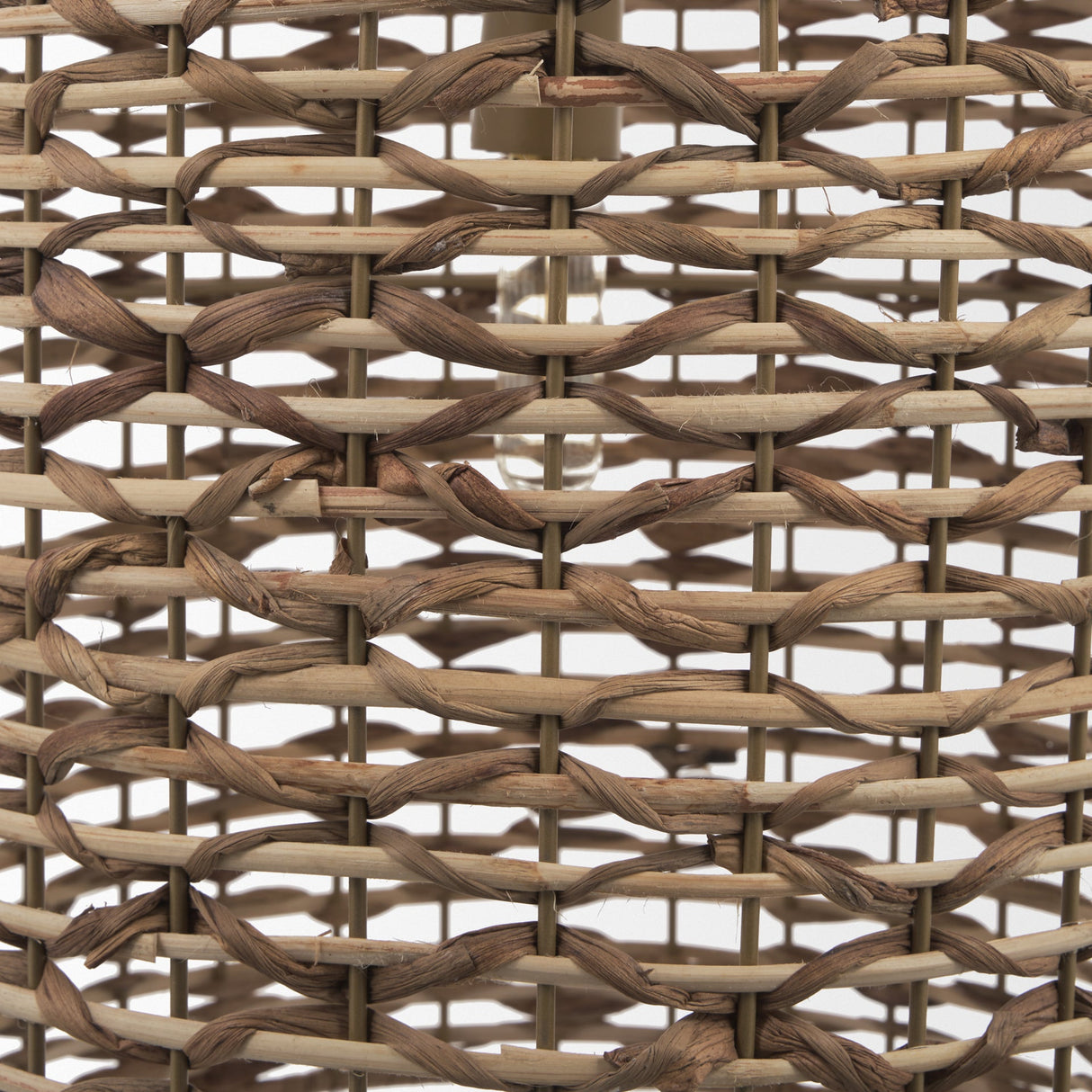 Sana Tall Watergrass Pendant Light by Mercana at Eve Furniture