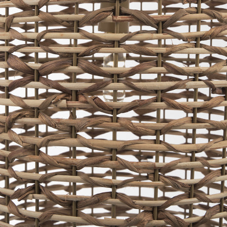 Sana Tall Watergrass Pendant Light by Mercana at Eve Furniture