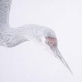 Sandhill Crane I by Chad Mckay a Hand Embelished Textured Framed Photo Art Print by Mercana at Eve Furniture