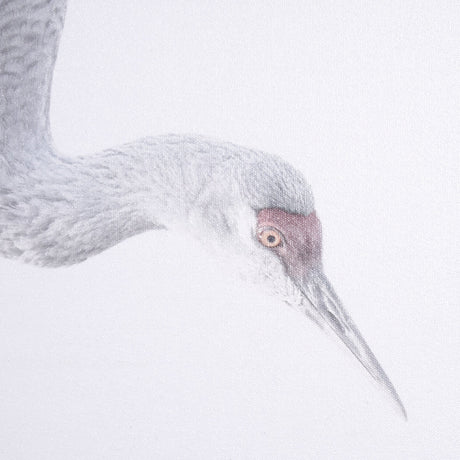 Sandhill Crane I by Chad Mckay a Hand Embelished Textured Framed Photo Art Print by Mercana at Eve Furniture