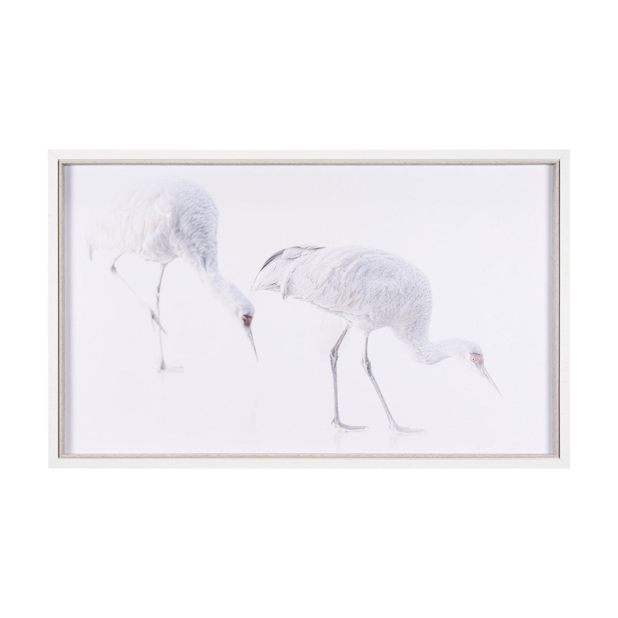 Sandhill Crane I by Chad Mckay a Hand Embelished Textured Framed Photo Art Print by Mercana at Eve Furniture