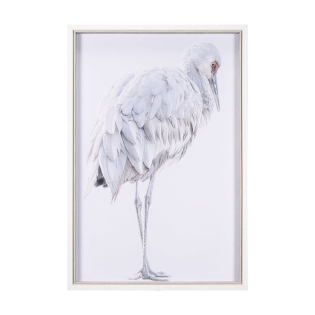 Sandhill Crane II by Chad Mckay a Hand Embelished Textured Framed Photo Art Print by Mercana at Eve Furniture