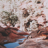 Sandstone in Sedona by Kelly Frere FramedPhoto Print Matted under Glass by Mercana at Eve Furniture