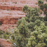 Sandstone Layers by Kelly Frere FramedPhoto Print Matted under Glass by Mercana at Eve Furniture