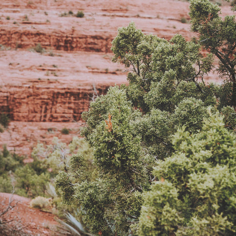 Sandstone Layers by Kelly Frere FramedPhoto Print Matted under Glass by Mercana at Eve Furniture
