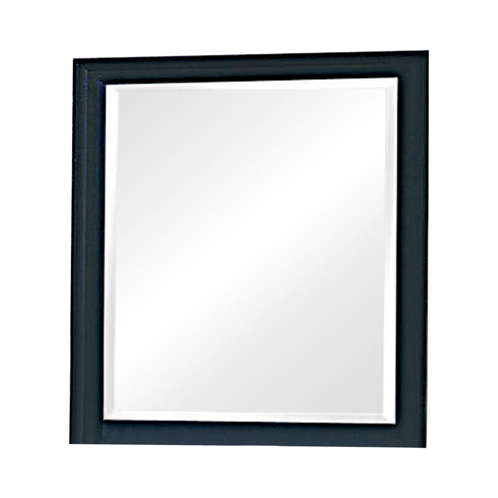 Sandy Beach Black Vertical Dresser Mirror