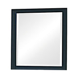 Sandy Beach Black Vertical Dresser Mirror