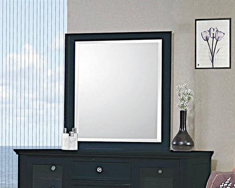 Sandy Beach Black Vertical Dresser Mirror