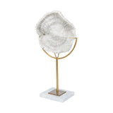 Sandy I (Small) 6L x 3W White Coastal Sand Dollar Object by Mercana at Eve Furniture