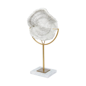 Sandy I (Small) White Coastal Sand Dollar Object by Mercana at Eve Furniture