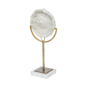 Sandy III (Large) 8L x 4W White Coastal Sand Dollar Object by Mercana at Eve Furniture
