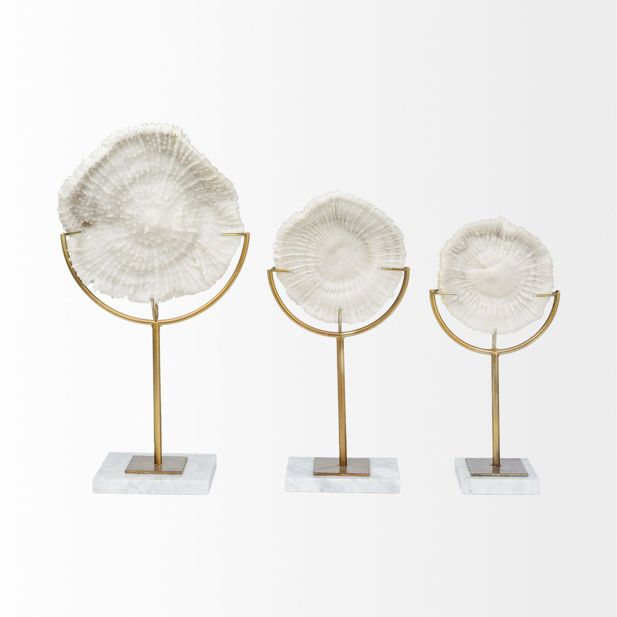Sandy III (Large) White Coastal Sand Dollar Object by Mercana at Eve Furniture