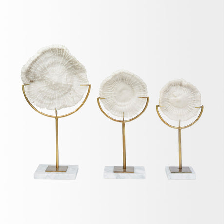 Sandy III (Large) White Coastal Sand Dollar Object by Mercana at Eve Furniture
