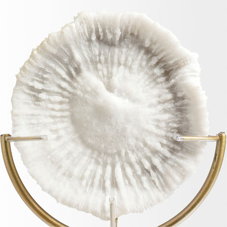 Sandy III (Large) White Coastal Sand Dollar Object by Mercana at Eve Furniture
