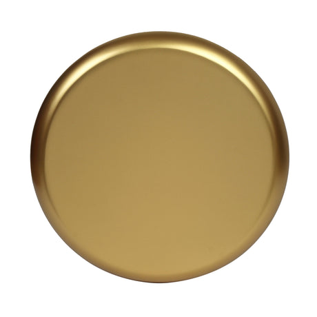 Sasha Gold Side Table by Inspire Me! Home Decor by TOV Furniture at Eve Furniture