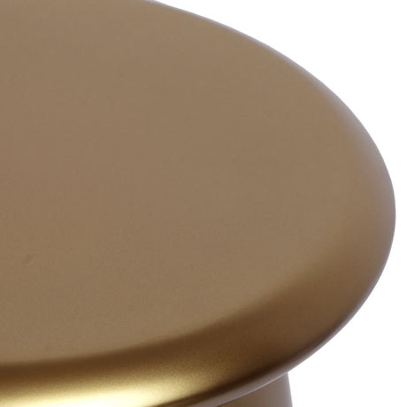Sasha Gold Side Table by Inspire Me! Home Decor by TOV Furniture at Eve Furniture