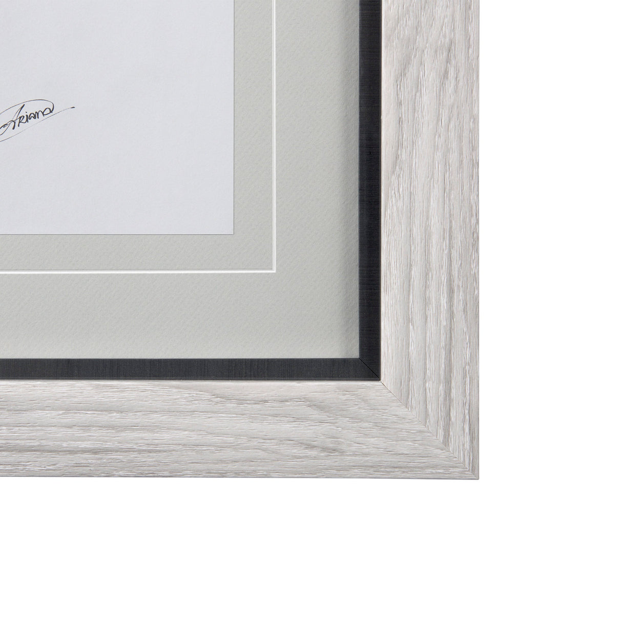 Saskatoonberry by Mercana Studio Hand Embellished Framed Art Print Matted under Glass by Mercana at Eve Furniture