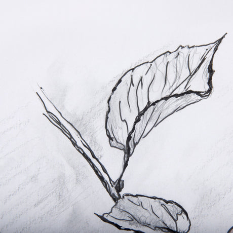 Saskatoonberry by Mercana Studio Hand Embellished Framed Art Print Matted under Glass by Mercana at Eve Furniture