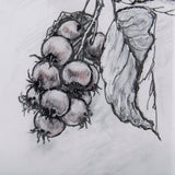 Saskatoonberry by Mercana Studio Hand Embellished Framed Art Print Matted under Glass by Mercana at Eve Furniture