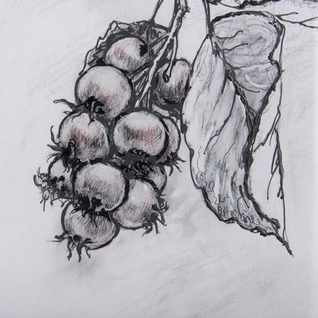 Saskatoonberry by Mercana Studio Hand Embellished Framed Art Print Matted under Glass by Mercana at Eve Furniture