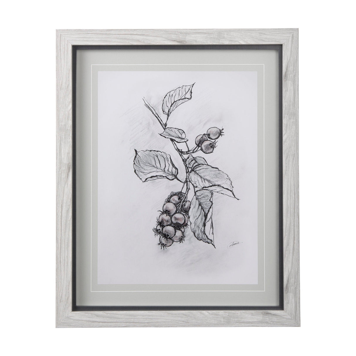 Saskatoonberry by Mercana Studio Hand Embellished Framed Art Print Matted under Glass by Mercana at Eve Furniture