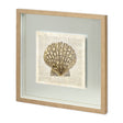 Scallop Shell Pages by Christopher James Hand Embellished Framed Art Print Matted under Glass by Mercana at Eve Furniture