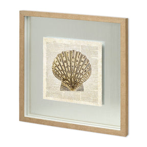 Scallop Shell Pages by Christopher James Hand Embellished Framed Art Print Matted under Glass by Mercana at Eve Furniture