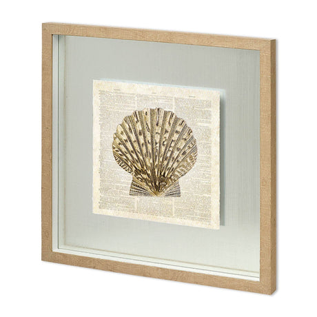 Scallop Shell Pages by Christopher James Hand Embellished Framed Art Print Matted under Glass by Mercana at Eve Furniture
