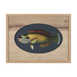 Scarus Ghobban by Mercana Studio a Hand Embellished Textured Framed Art Print Matted under Glass by Mercana at Eve Furniture