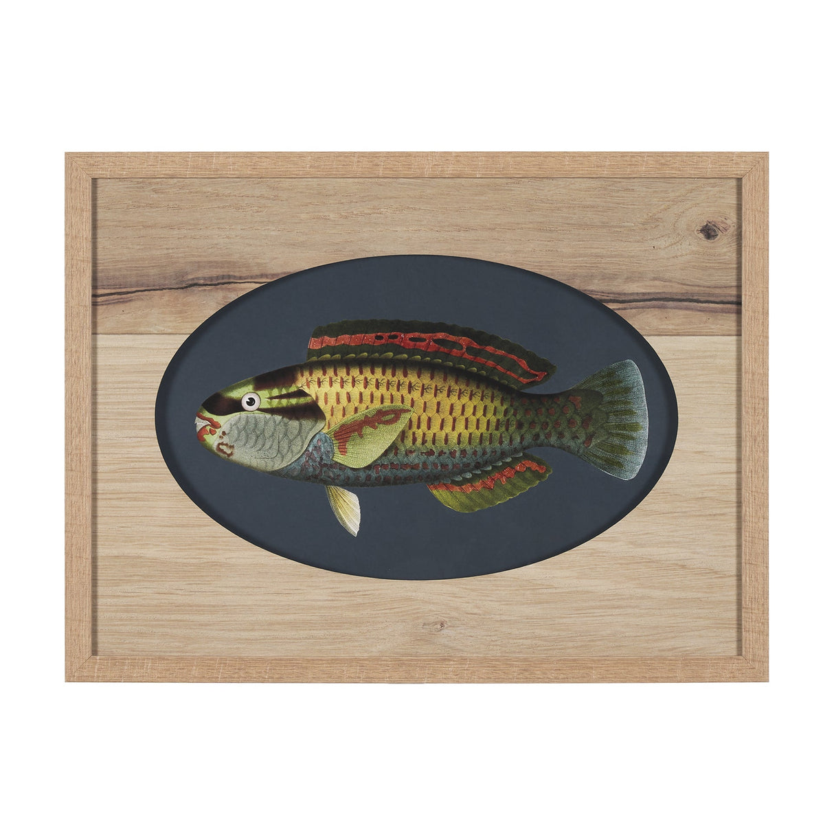 Scarus Ghobban by Mercana Studio a Hand Embellished Textured Framed Art Print Matted under Glass by Mercana at Eve Furniture