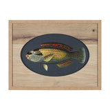 Scarus Ghobban by Mercana Studio a Hand Embellished Textured Framed Art Print Matted under Glass by Mercana at Eve Furniture