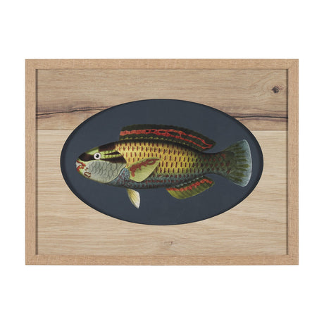 Scarus Ghobban by Mercana Studio a Hand Embellished Textured Framed Art Print Matted under Glass by Mercana at Eve Furniture