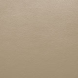 Schlieren Beige Leatherette Reclining Living Room Set by Furniture of America at Eve Furniture