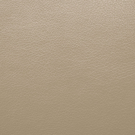 Schlieren Beige Leatherette Reclining Living Room Set by Furniture of America at Eve Furniture