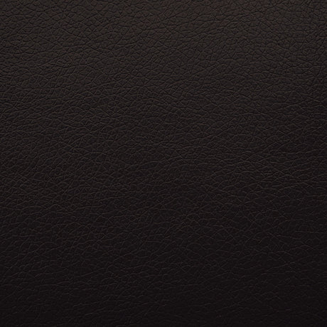 Schlieren Black Leatherette Reclining Living Room Set by Furniture of America at Eve Furniture