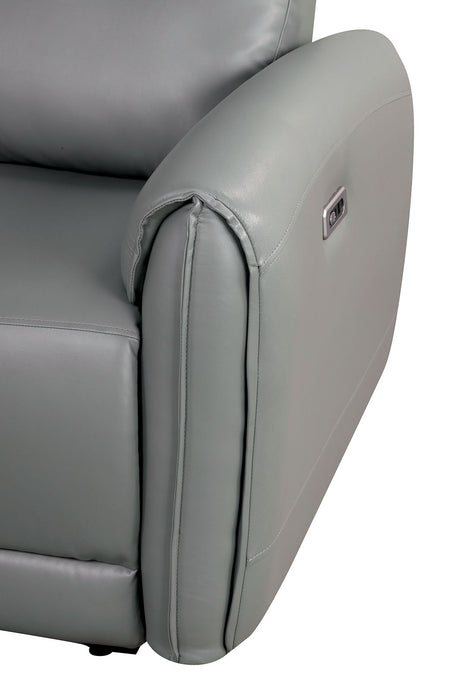 Schlieren Gray Power Recliner by Furniture of America at Eve Furniture