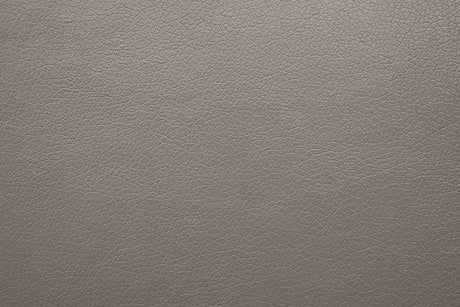 Schlieren Light Brown Leatherette Reclining Living Room Set by Furniture of America at Eve Furniture