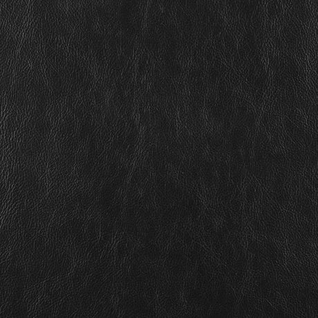 Scotland 2-piece Faux Leather Upholstered Sofa Set Black by Coaster at Eve Furniture