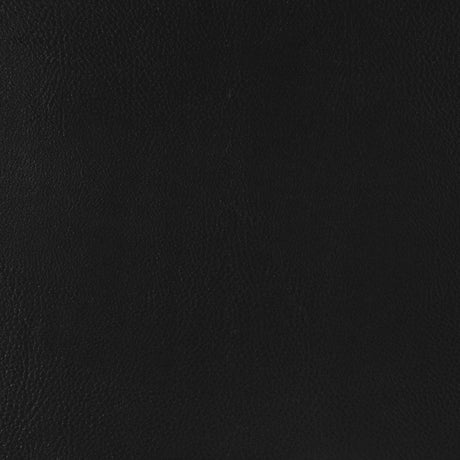 Scotland Black Faux Leather Upholstered Track Arm Loveseat by Coaster at Eve Furniture