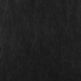 Scotland Faux Leather Upholstered Track Arm Chair Black by Coaster at Eve Furniture