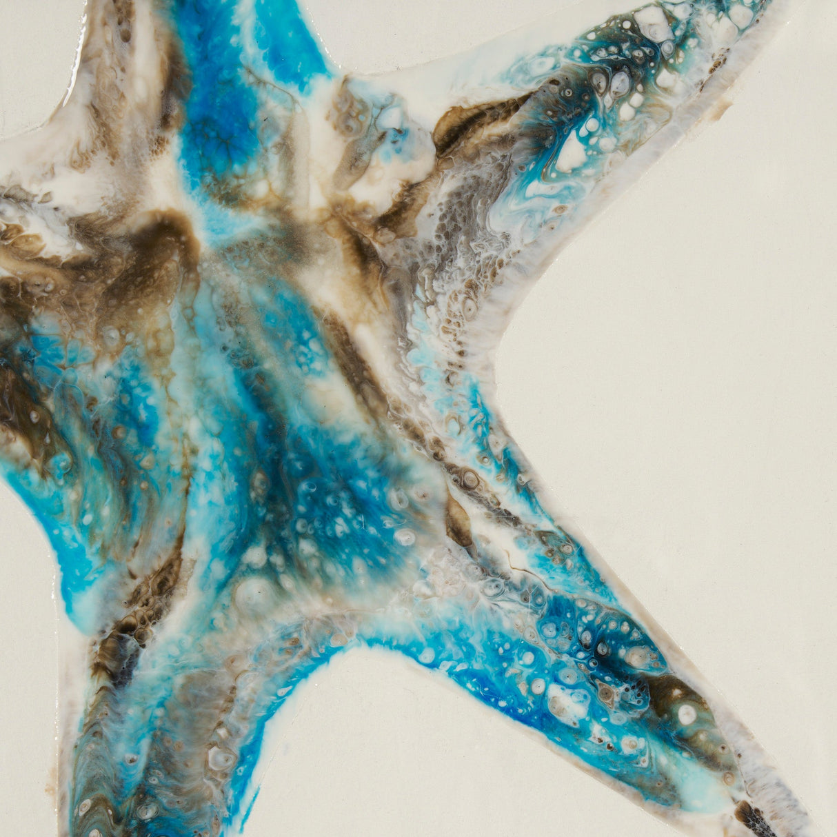 Sea Star by Studio M a handmade Original Framed Artwork under Glass by Mercana at Eve Furniture