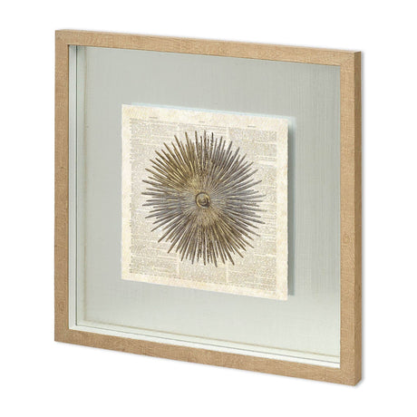 Sea Urchin Pages by Christopher James Hand Embellished Textured Framed Art Print Matted under Glass by Mercana at Eve Furniture