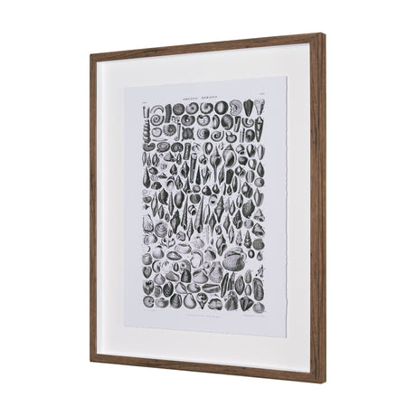 Sealife II by Oliver Goldsmith a Hand Embellished Framed Art Print Matted under Glass by Mercana at Eve Furniture